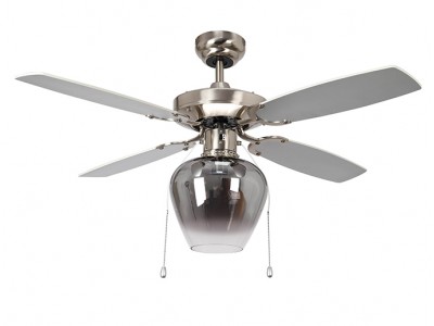 MP42405 Ceiling Fan