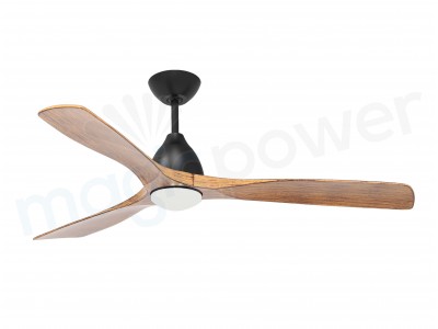 CF52362-L-BK