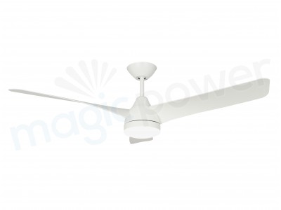 MGN24020