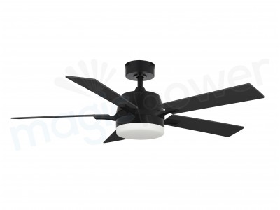 CF52371-L-BN/WH/BK