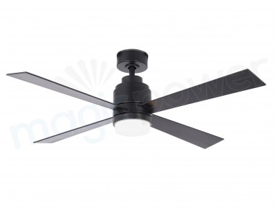 CF52381-L-BK