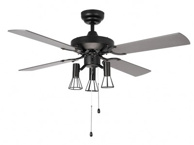 MP42403 Ceiling Fan