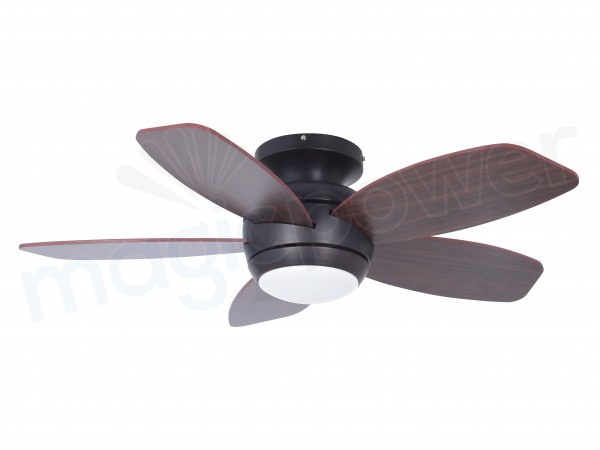 MGN25002