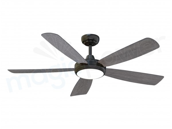 MGN25007