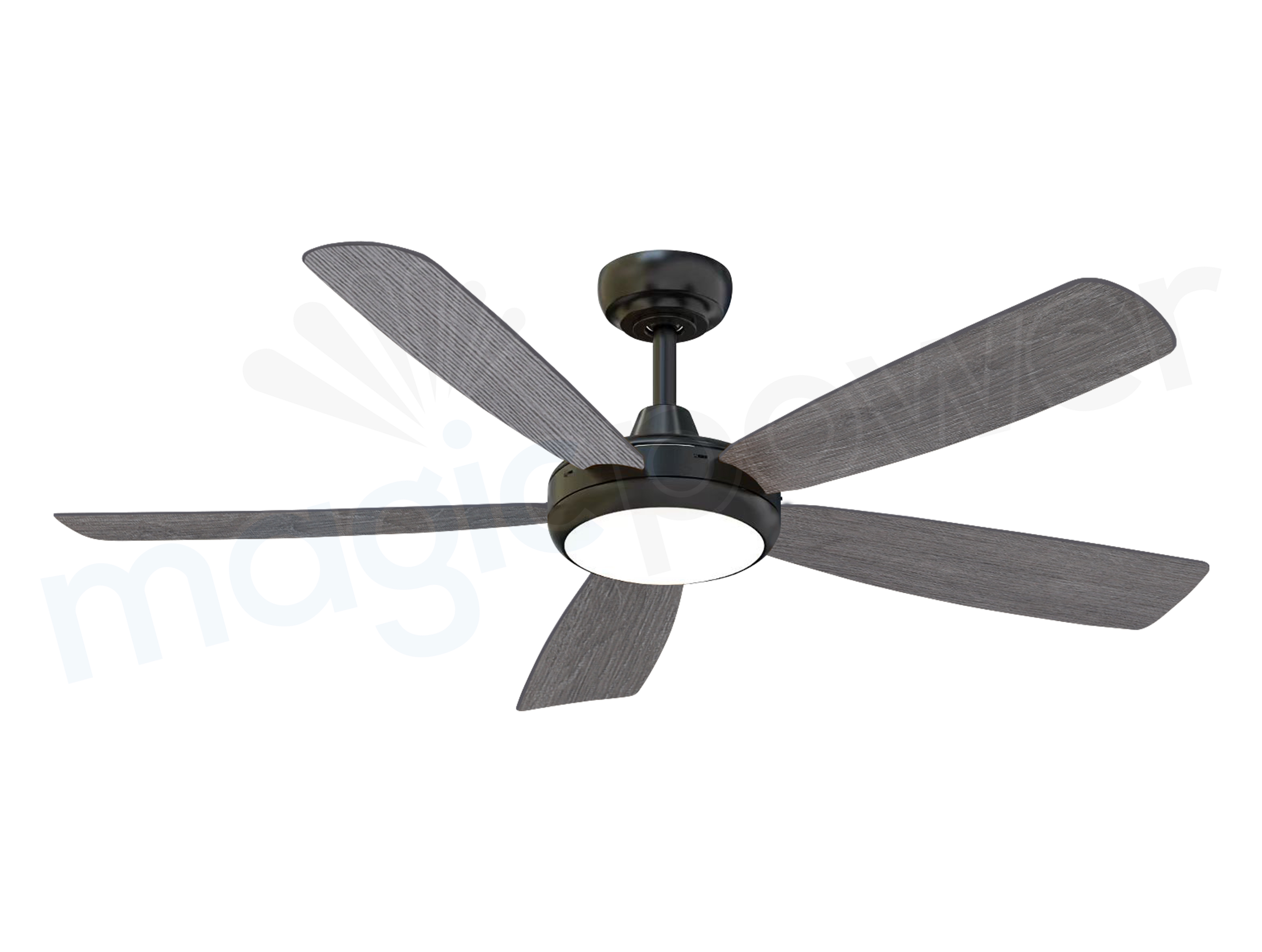 MGN25007